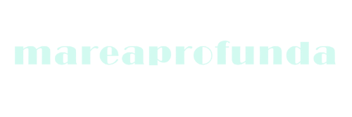 logo (9)